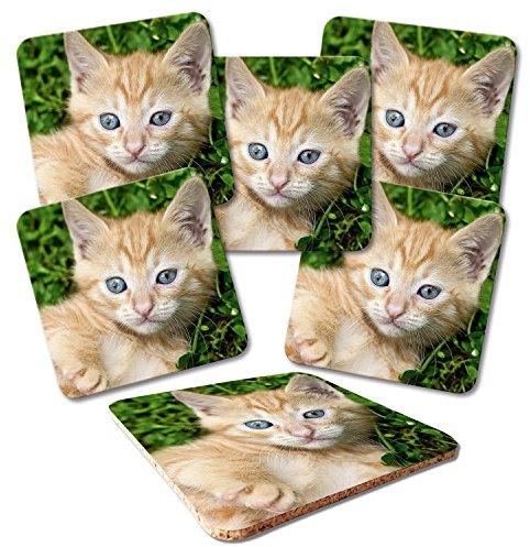 ADDIES &apos Dessous de Plat 6 pièces Kit Motif Chats de Verre 08 présentée dans Un Coffret Cadeau Transparente et Dos en liège Motif Animaux