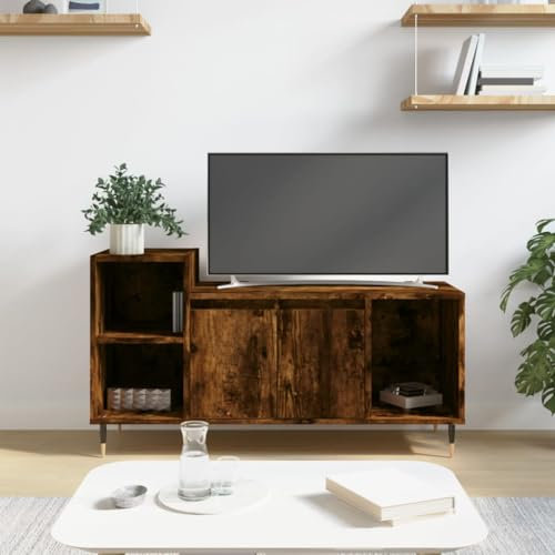 TJROO TV-Schrank aus Eichenholz, 100 x 35 x 55 cm, aus mehrschichtigem Holz und Metall – niedriger Schrank mit Türen, Vitrine, Schrank, Konsole, Regal unter TV