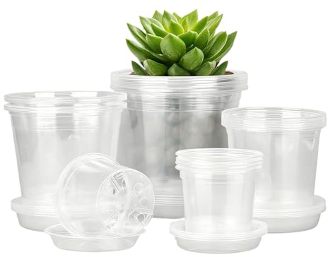 Juego de 20 macetas transparentes con platillos | Recipientes transparentes con agujeros de drenaje | Ideal para fresas, orquídeas, flores, suculentas, cactus, zanahorias, pepinos y pimientos