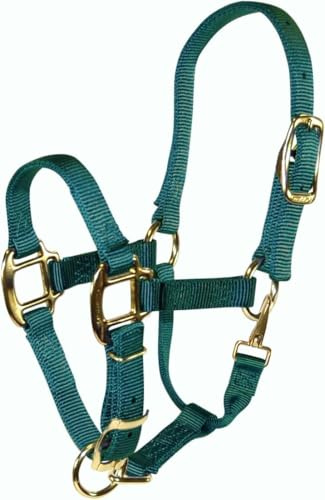 Hamilton verstellbar Qualität 3/4-Zoll Weanling Halfter mit Snap, 200 bis 300-pound Pferd, dunkelgrün
