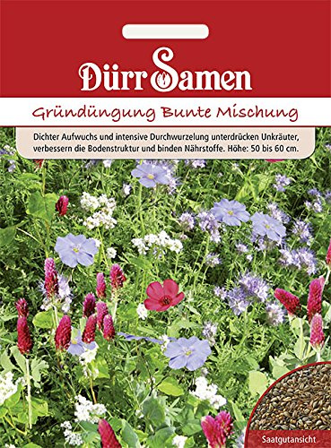 Dürr-Samen - Gründüngung Bunte Mischung 50 g Saatgut
