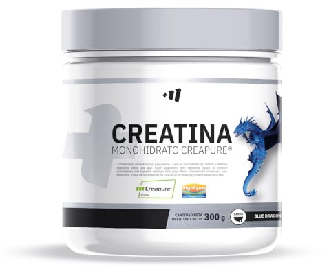 MM Supplements - Creapure® Créatine Monohydrate - Poudre - Sans Sucre - 300 g - Flacon de 3 Mois - Récupération Musculaire - Augmente la Masse Musculaire (Blue Dragon)