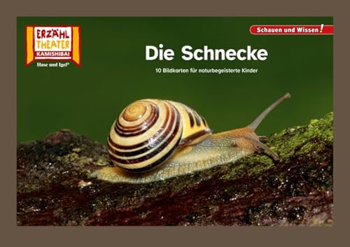 Die Schnecke / Kamishibai Bildkarten: 10 Fotobildkarten für das Kamishibai (Schauen und Wissen!)