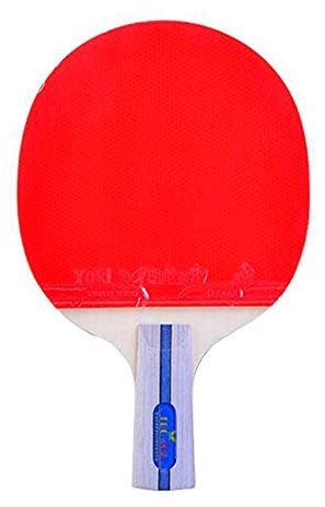 Juego de Tenis de Mesa, Pala de Tenis de Mesa de 4 Estrellas, Pala de Ping Pong Profesional con Estuche para Pala, Raqueta de Ping Pong de Goma aprobada con Gran Efecto y Control, Mango simp