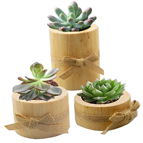 DONFAMDS Portavelas de Madera de Pino Set de 3 Decoración Práctica Estilo Europeo para Velas de Té y Macetas para Suculentas para Bodas y Cenas Luz Velas