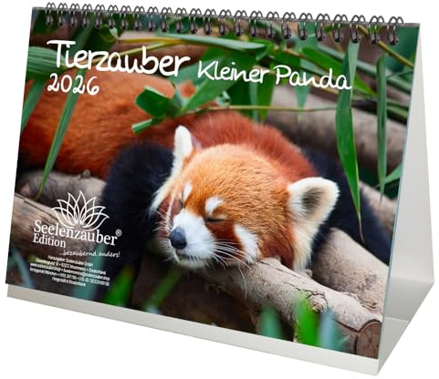 Djurmagi liten panda DIN A5 bordskalender för 2026 röd panda – själsmagi