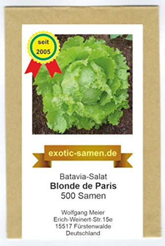 Bataviasalat - Blonde de Paris - zart und knackig - alte, samenfeste Sorte - 500 Samen