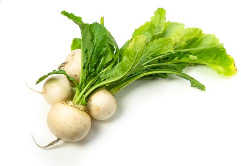JustSeed - Vegetable - Turnip - Snowball - 3000 Seeds