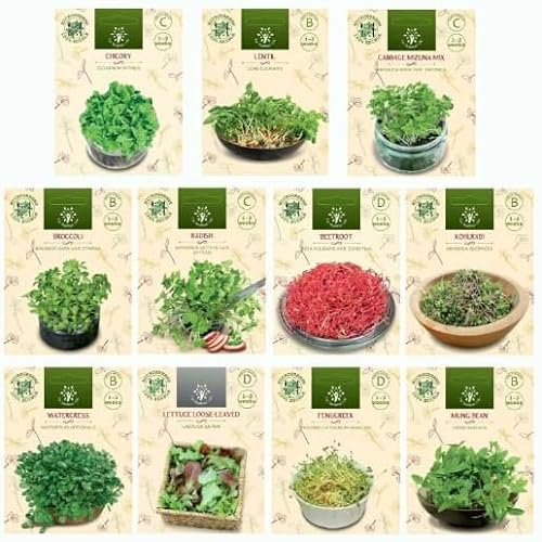 Mélange de germination de micro-pousses - 11 variétés de graines pour une alimentation maison, fraîche et nutritive