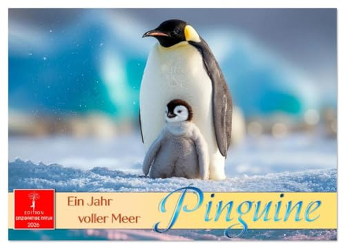 Pinguine - ein Jahr voller Meer (Wandkalender 2026 DIN A3 quer), CALVENDO Monatskalender: Die wunderbare Welt der kleinen Frackträger. (CALVENDO Tiere)