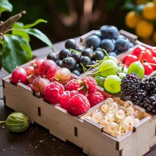 Carbeth Plants Nurseryman’s 10 Fruit Plant Collection in 9cm Pots - Mixed Selection of Low Maintenance Outdoor Fruiting Plants Ready to Grow - Seasonal Assortment Fruit Bushes for Home Growers