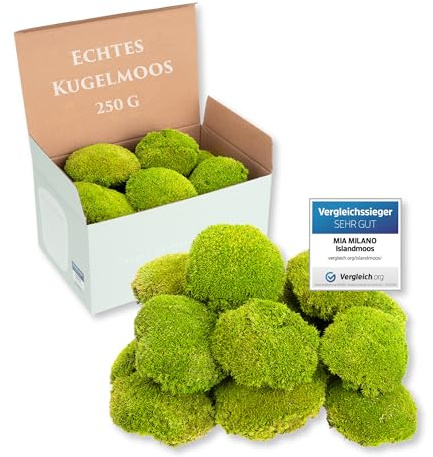 Mia Milano kulmossa ljusgrön konserverad | 250 g äkta bollmossa för mossbilder | hållbar mossa för pyssel | väderbeständig ljusgrön islandmossa