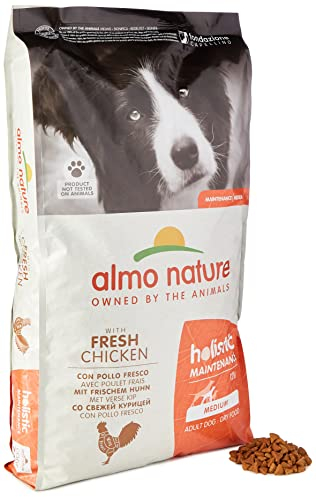 Holistic Hundefutter Medium mit Huhn und Reis (12 kg)