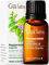 Gya Labs Ätherisches Bio-Pfefferminzöl für den Diffusor - 100% Natürliche Pfefferminzöl für die Haare - Entspannende Aromatherapie Öle (10 ml)