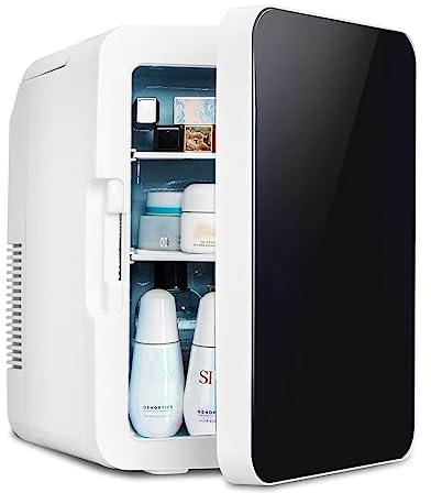 ARTETHYS Mini Fridge for Bedrooms 10L Compact Car Fridge Mini Refrigerator with System Cooler and Warmer for Home Office, 220V AC/12V DC, Black