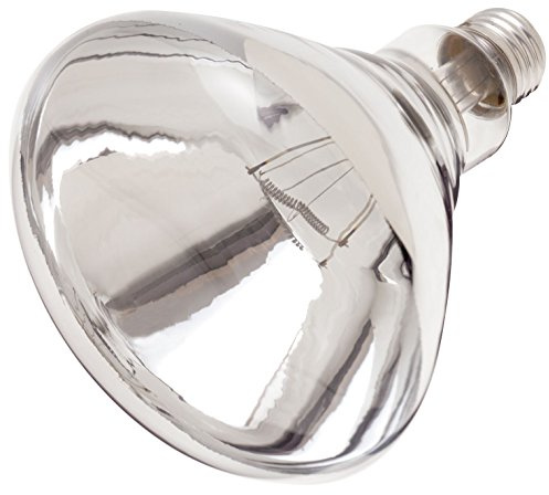 S4999-250R40/1 Clear Heat Lamp - 250 Watt R40 Incandescent; Clear Heat; 6000 Average Rated Hours; Warm White Light; Medium Base; 120 Volt (Pack of 12) for Home, Kitchen, Studio, Living Room