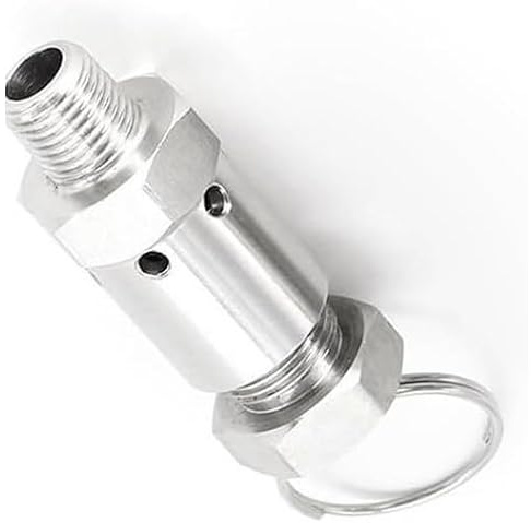 304 Fjädertrycksventil i rostfritt stål - 1/4 tum, 0,5-10 bar for gaskompressorer och tryckkokare(2 6Bar Adjustable)