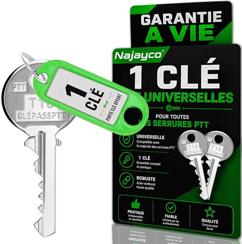 CLÉ PASS PTT T10 T SPÉCIAL LIVREURS ET FACTEURS | POUR SERRURES DE BOÎTES AUX LETTRES ET PORTES D’IMMEUBLES | GARANTIE A VIE !!!