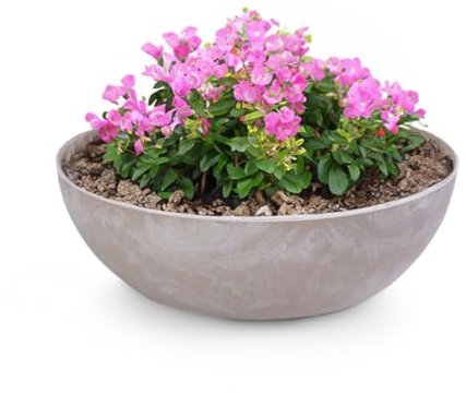 matches21 Pflanzschale für draußen - große Vintage Dekoschale Sand beige marmoriert als Blumentopf Pflanztopf - Schale in 30 x 9 cm als Garten Vogeltränke Balkon-Deko oder Friedhof Grabschale