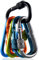 Zalava 2020 Neu Mini Schlüsselanhänger Karabiner, 6 Farben Karabiner mit Schraubverschluss Mehrfunktionale Karabinerhaken für Camping, Angeln, Wandern Oder Reisen