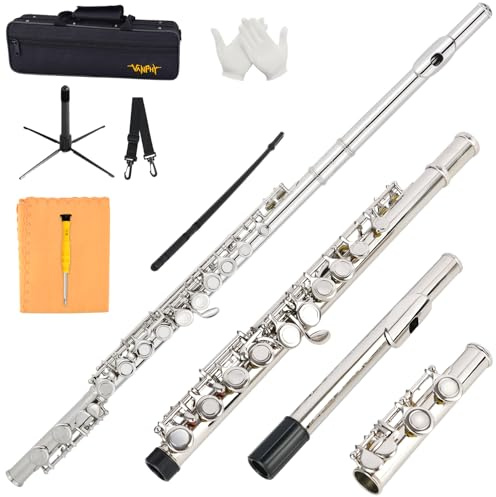 VANPHY Closed Hole C Flute 16 Keys Nickel-Plated Flutes For Beginners Student Flute Instrument With Case Stand Gloves Tuning Rod (Silver)