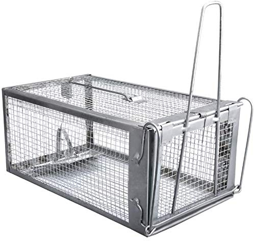 Piège À Rats Vivant, À Cage, Pour Piège À Rats