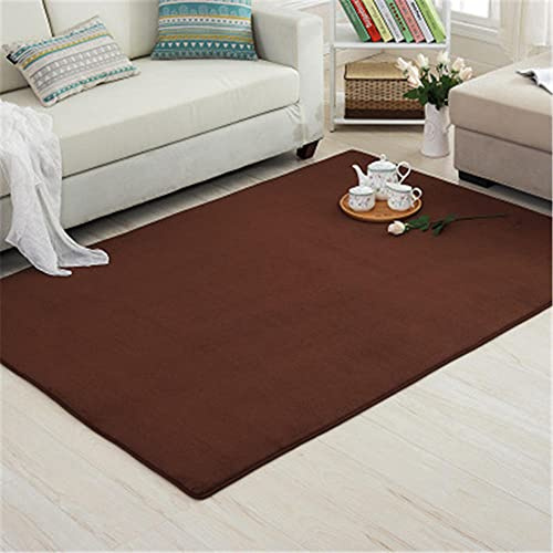 Alfombra de Terciopelo Coral Grueso de Color sólido Calidad Marrón terroso Suave Lavable Antideslizante Grande Rugs Rug Minimalista Moderna Sala De Estar Dormitorio Tatami Gateando Estera -60×90cm