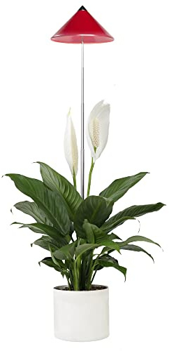 Parus by Venso SUNLiTE 7W LED Vollspektrum Pflanzenlampe Rot, Indoor Plants Pflanzen Beleuchtung, mit ausziehbarem Teleskopstab, Parus Pflanzenlampe für kleine und mittelgroße Zimmerpflanzen
