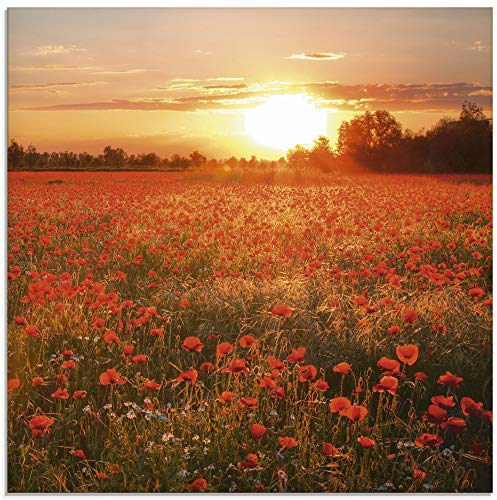 ARTland Wanddeko Glasbilder Wandbild Glas Bild einteilig Quadratisch Natur Landschaft Blumen Mohnblumen Feld Sonnenuntergang Blumewiese S6AM