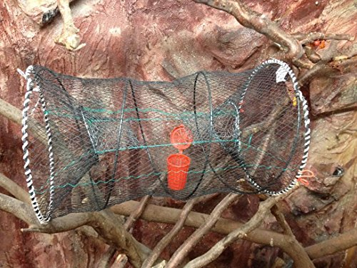 Machermann Nr.53 Fischreuse, Krebsreuse, Aalreuse, Köderfischreuse 50x120 cm - Faltbare Reuse - Inklusive Köderdose