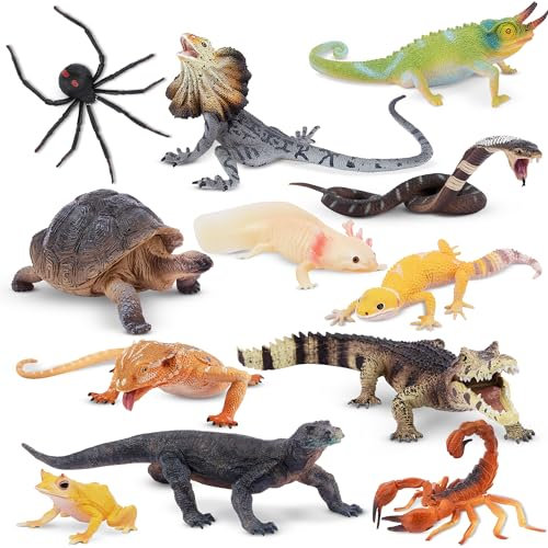 toymany 12PCS Reptile Animal Figurine Toy Set,Cold Blooded Amphibians Jungle Animal Figures Set with Dragon Lizard Snake Chameleon Halloween Birthday Gift Party Favor School Project for Kids Toddlers