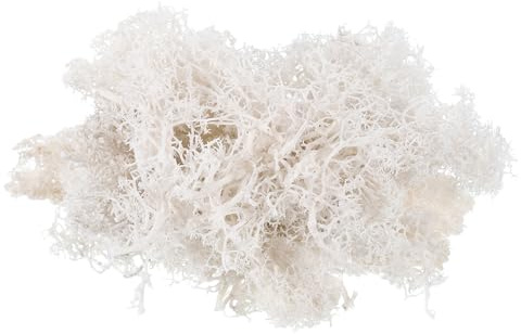 sourcing map 0.35 OZ Musgo Falso Musgo Artificial Musgo Natural Preservado para Manualidades Proyectos Florales DIY Decoración de Pared Boda Jardín Patio Mesa Terrarios (Blanco)