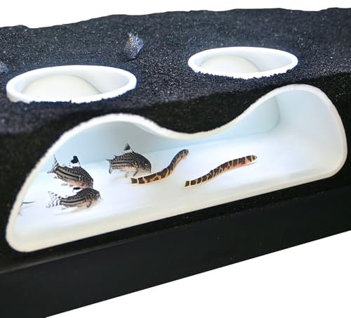 Aquarium Underground Tunnel Cave Natural Curve Two Hole | Viewing Fish & Shrimp Under Gravel Tunnel | Fish Tank Decor Decoration Hideout Perfect for Corydora Catfish, Kuhli Loach, Pleco (White)