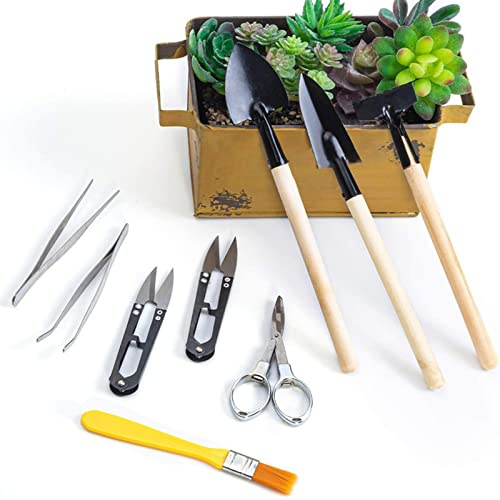 Tissting Bonsai Tools Set, 12Pcs Garden Tool Set Iron Succulent Tools Gardening Trimming Tools Include Scissor Bucket Shovel Tweezers Mini Shovel Rake, for Gardeners Beginners Indoor and Outdoor
