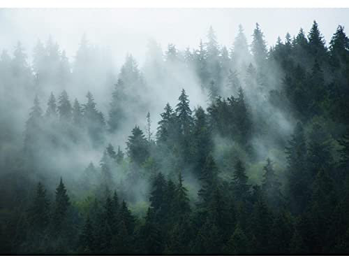Runa Art Papel tapiz fotográfico 396 x 280 cm bosque de niebla | Lana Decoración De Pared Sala Cuarto | Fabricación alemana | azul 9552012a