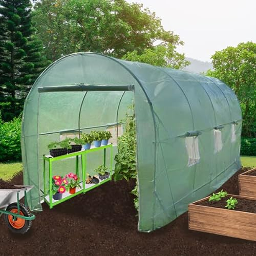 Polytunnel mit Folie und Regale Gewächshaus Treibhaus Tomatenhaus Pflanzenhaus Folientunnel 19mm 5m x 2m