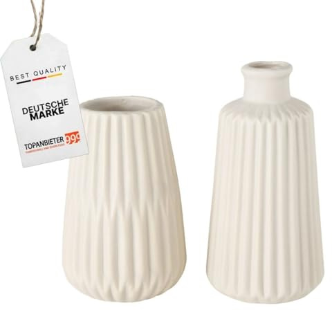 TOPANBIETER 999 Porzellan Vasen 2er Set Verschiedene Ausführungen – Hochwertige Keramik mit Geprägter Struktur – Deko-Vasen für Trockenblumen & Frische Blumen (beige matt)