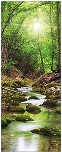 Wallario Poster - Größe: 50 x 125 cm - Motiv: Fluss im Wald