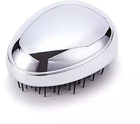 PARENCE - Haarbürste, professionell, zum Entwirren von Haaren, für langes, lockiges Haar, dick, Damen, schnell trocknend (Silber)