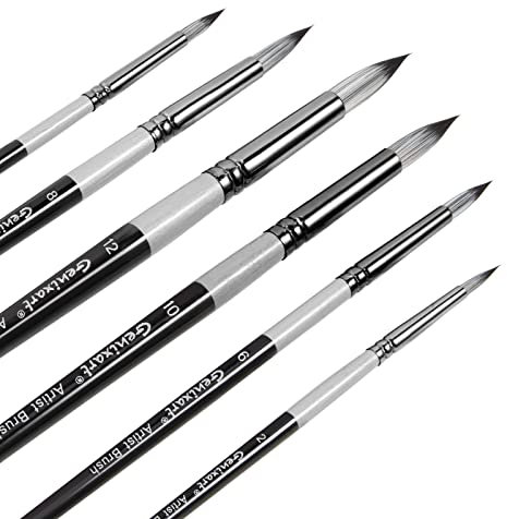 Round Pointed Tip Paint Brushes Set - 6 Pcs Artist Paintbrushes for Acrylic, Oil, Watercolor Painting - Premium Nylon Hair Art Paint Brush for Beginners and Professionals