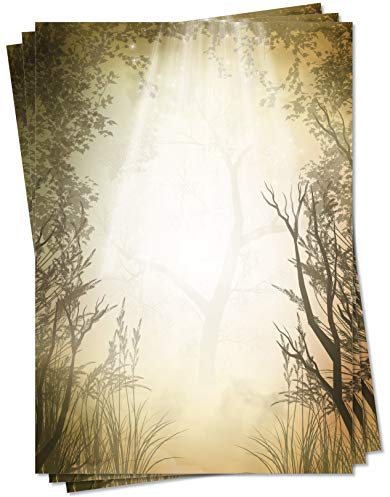 LYSCO Motiv Briefpapier (Natur-5119, DIN A4, 25 Blatt) Wald Sonne Sonnenstrahlen Lichtung Motivpapier