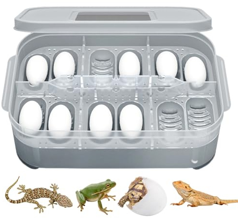 2 Stück Eierbrutschrank für Bruteier, 16,5 x 11 x 5 cm Eierbrutschrank Geflügel, leicht zu reinigen und zu beobachten, Reptilieneier-Brutkasten, zum Schlüpfen von Hühnern, Enten und Wachteleiern