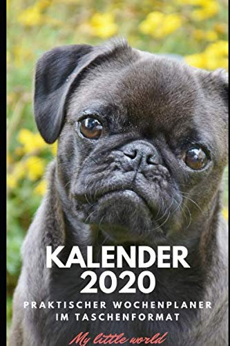 Kalender 2020: Praktischer Wochenplaner im Taschenformat