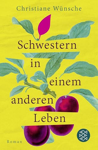 Schwestern in einem anderen Leben: Roman | Inspiriert von einer wahren Begebenheit, erzählt von einer jahrzehntelangen Suche nach Geborgenheit