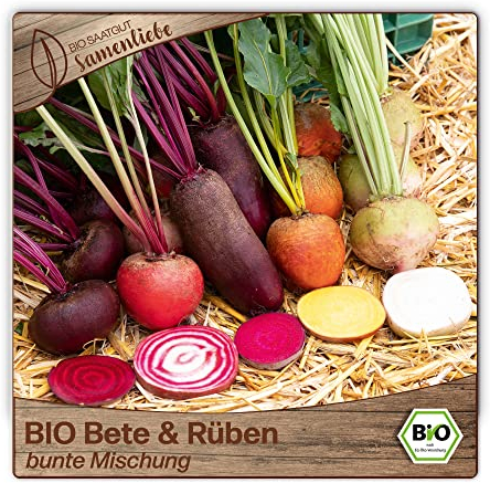 Samenliebe BIO Bete & Rüben Samen alte Sorte bunte Mischung 150 Samen samenfestes Gemüse Saatgut für Gewächshaus Freiland und Balkon BIO Gemüsesamen