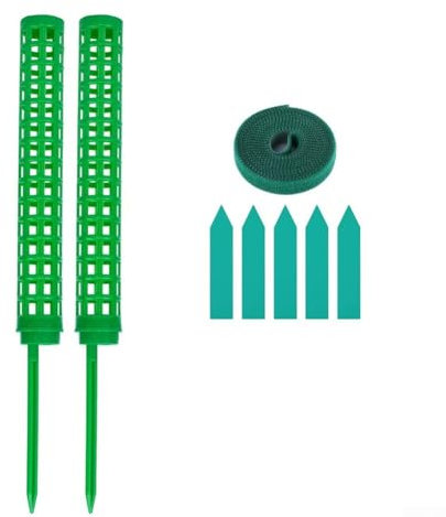 Palo di muschio per supporto per piante da 25 cm, perfetto per filodendro e altre varietà rampicanti (verde)