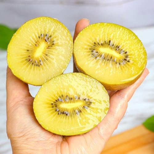 Semi di bacche di kiwi, Actinidia chinensis, Gli da frutto nani sono resistenti antiche varietà semi rari da balcone resistenti 20pcs