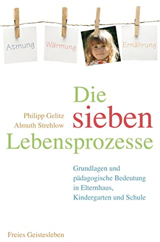Die sieben Lebensprozesse: Grundlagen und pädagogische Bedeutung in Elternhaus, Kindergarten und Schule