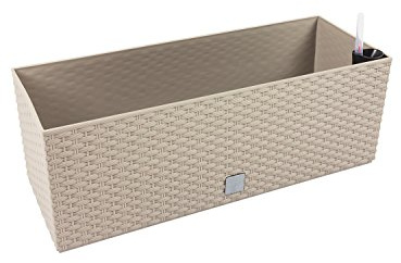 Prosper Plast drtc600–7529u 60 x 25 x 24 cm Rato Fall Blumentopf – beige (12-teilig)