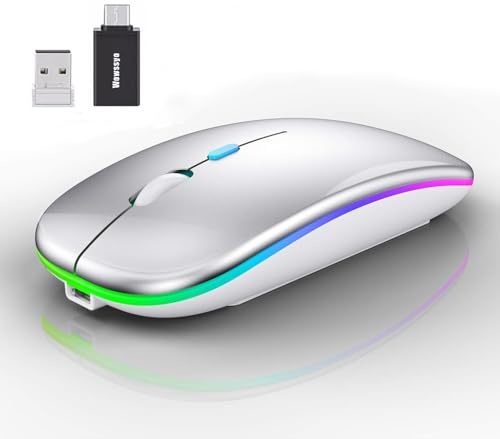 Wowssyo Souris sans Fil USB 2,4 GHz - Souris Bluetooth - Suivi Optique 1600 DPI - Double Mode Rechargeable - pour Ordinateur Portable, PC, iOS, Android, iPad, Windows - Argent